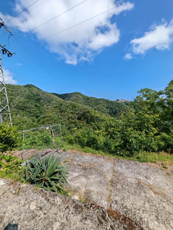 casa indipendente in vendita a Fivizzano in zona Tenerano