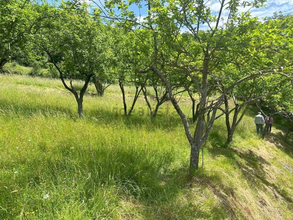 appartamento in vendita a Fivizzano