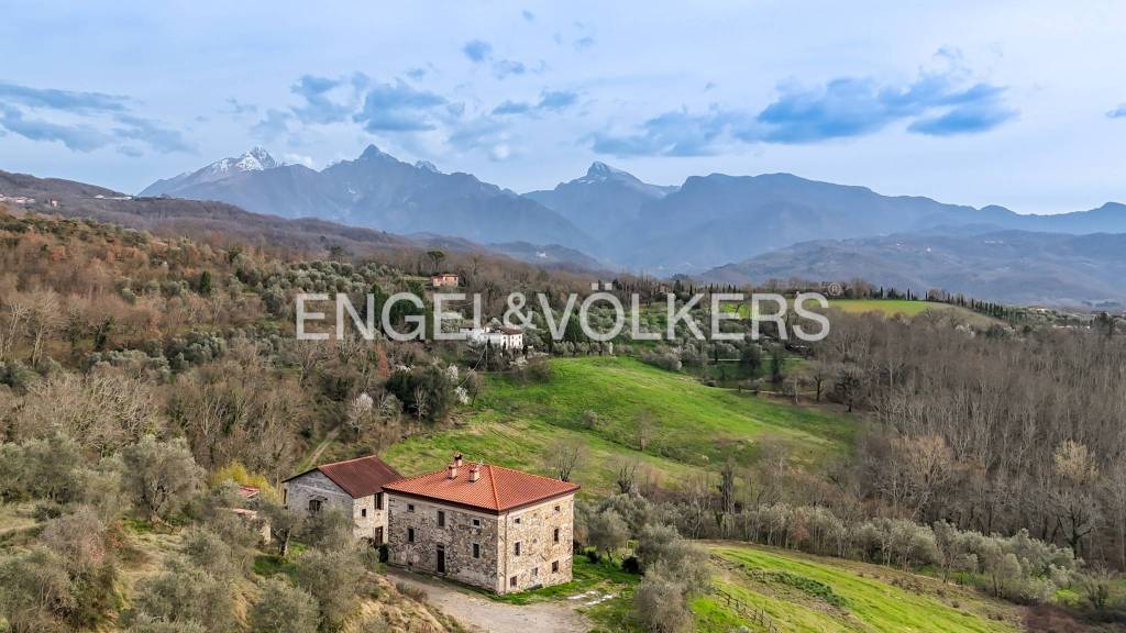 immagine annuncio 0 di 15