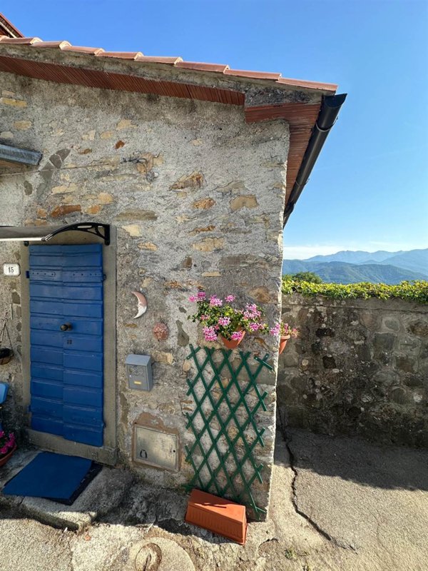 casa indipendente in vendita a Fivizzano in zona Fazzano