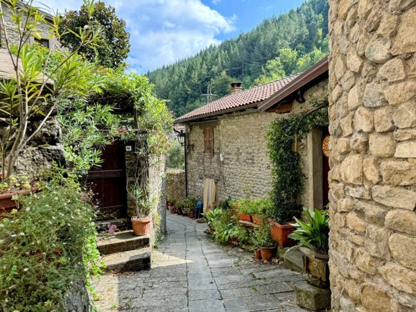 casa indipendente in vendita a Fivizzano
