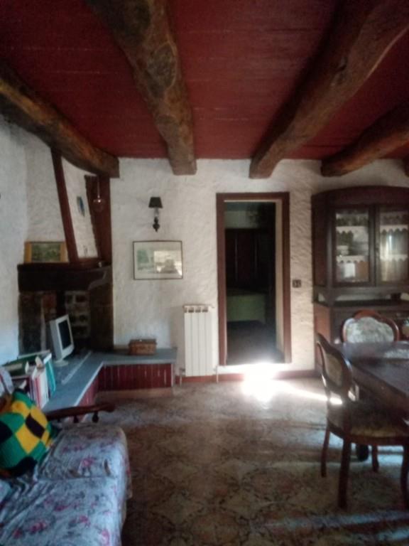 casa indipendente in vendita a Fivizzano in zona Viano