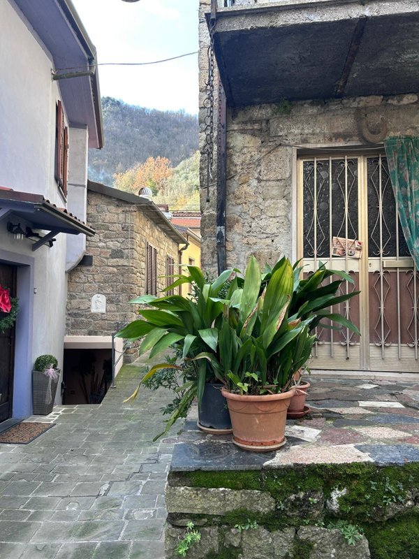 casa indipendente in vendita a Fivizzano in zona Monzone Ponte