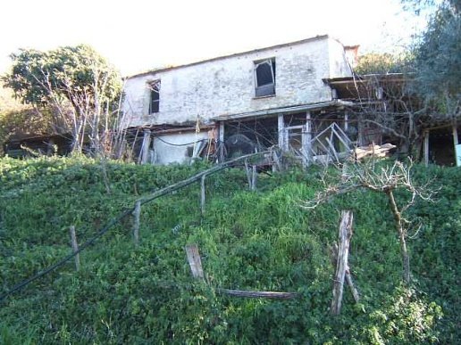 pentavano in vendita a Fivizzano in zona Cerignano