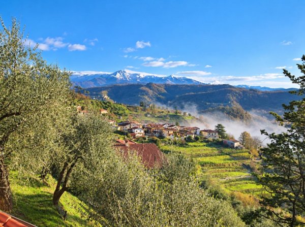 casa indipendente in vendita a Fivizzano in zona San Terenzo