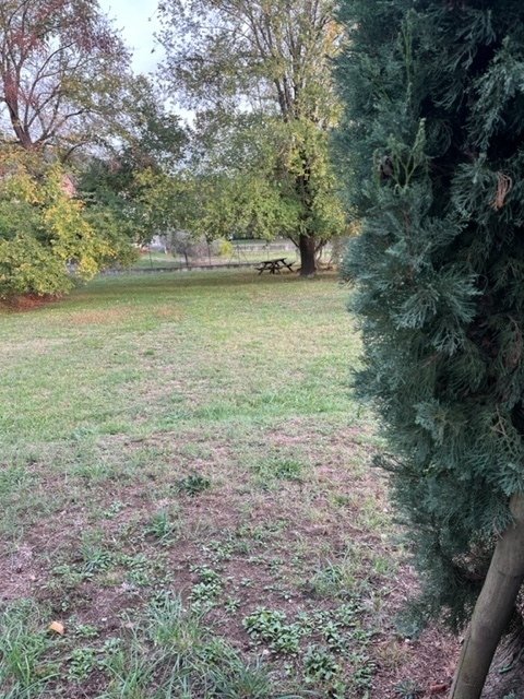 terreno agricolo in vendita a Fosdinovo