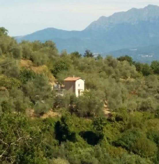 terreno agricolo in vendita a Fosdinovo in zona Tendola