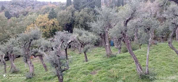 appartamento in vendita a Fosdinovo