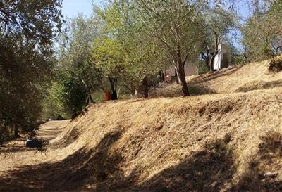 terreno agricolo in vendita a Fosdinovo in zona Tendola