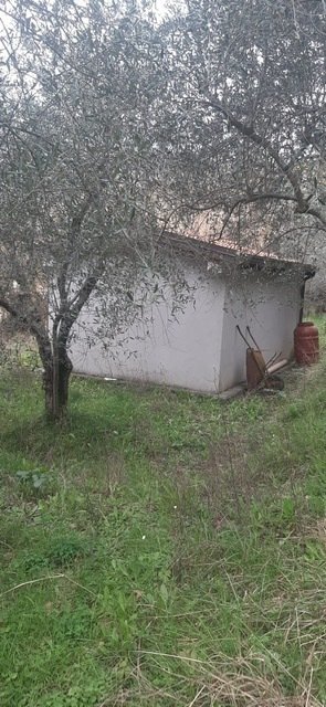 terreno edificabile in vendita a Fosdinovo