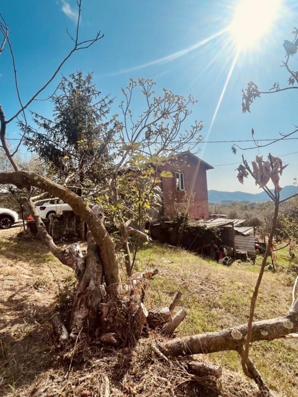 terreno agricolo in vendita a Fosdinovo