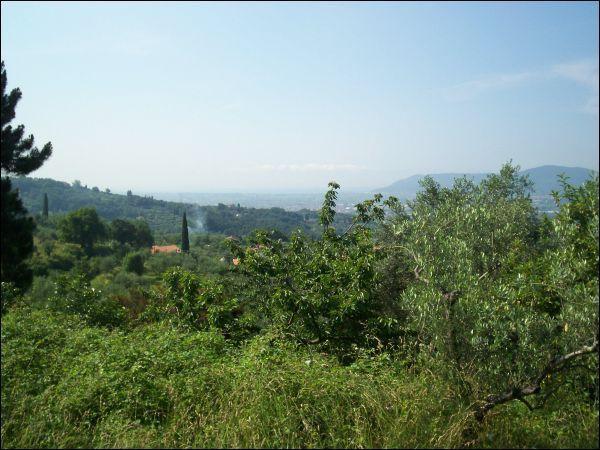 terreno agricolo in vendita a Fosdinovo