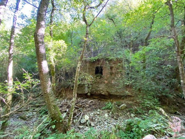 terreno agricolo in vendita a Fosdinovo
