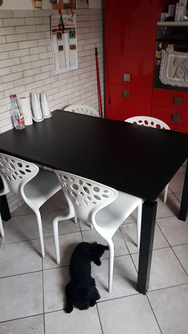appartamento in vendita a Fosdinovo