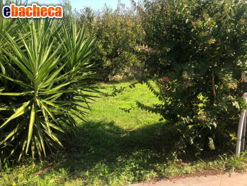 appartamento in vendita a Fosdinovo in zona Caniparola