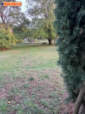 terreno agricolo in vendita a Fosdinovo
