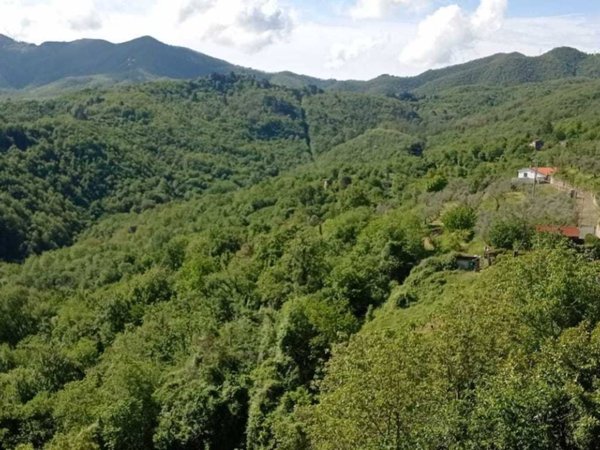 casa indipendente in vendita a Fosdinovo in zona Tendola