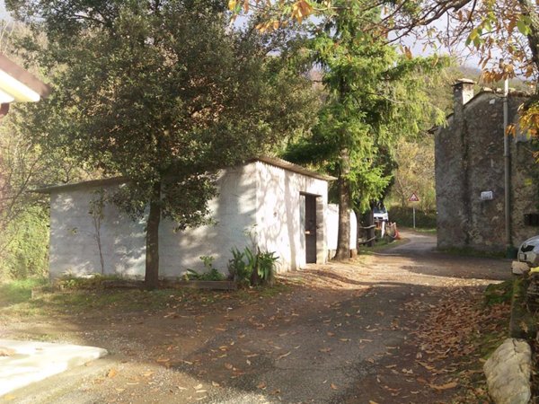 azienda agricola in vendita a Fosdinovo in zona Caprognano