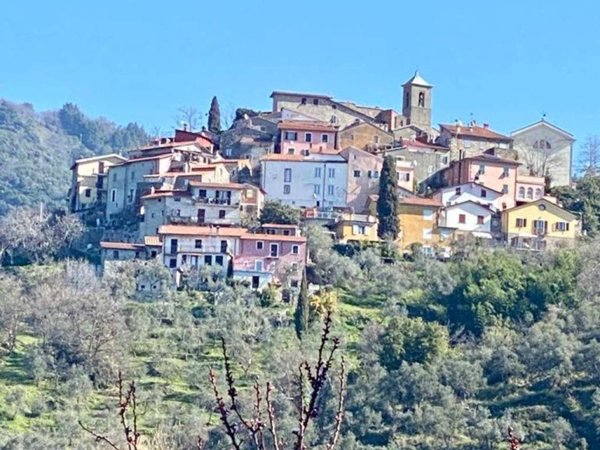 terreno agricolo in vendita a Fosdinovo in zona Giucano