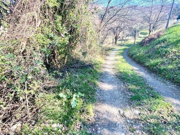 terreno agricolo in vendita a Fosdinovo in zona Giucano