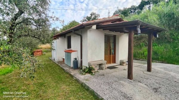 terreno agricolo in vendita a Fosdinovo