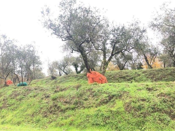 capannone in vendita a Fosdinovo