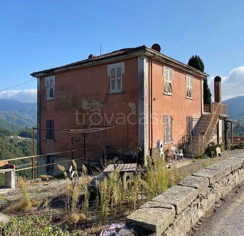 casa indipendente in vendita a Fosdinovo in zona Tendola