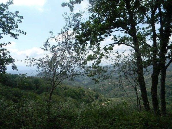 appartamento in vendita a Fosdinovo