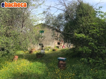appartamento in vendita a Fosdinovo