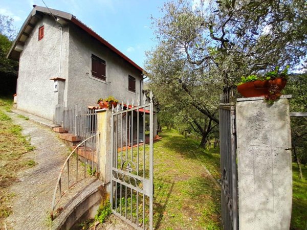 terreno agricolo in vendita a Fosdinovo in zona Carignano