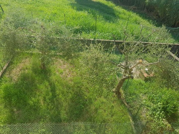 appartamento in vendita a Fosdinovo in zona Caniparola