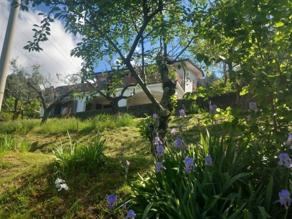 casa indipendente in vendita a Fosdinovo