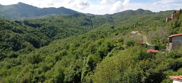 appartamento in vendita a Fosdinovo in zona Tendola