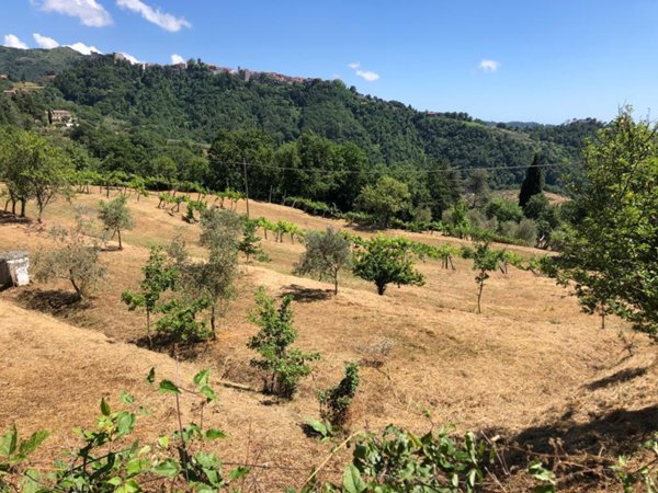 appartamento in vendita a Fosdinovo