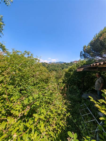 casa indipendente in vendita a Fosdinovo