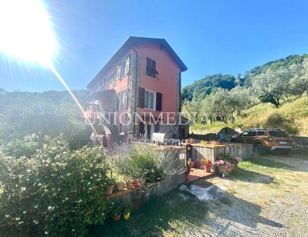 casa indipendente in vendita a Fosdinovo in zona Giucano