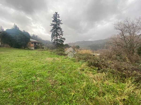 appartamento in vendita a Fosdinovo