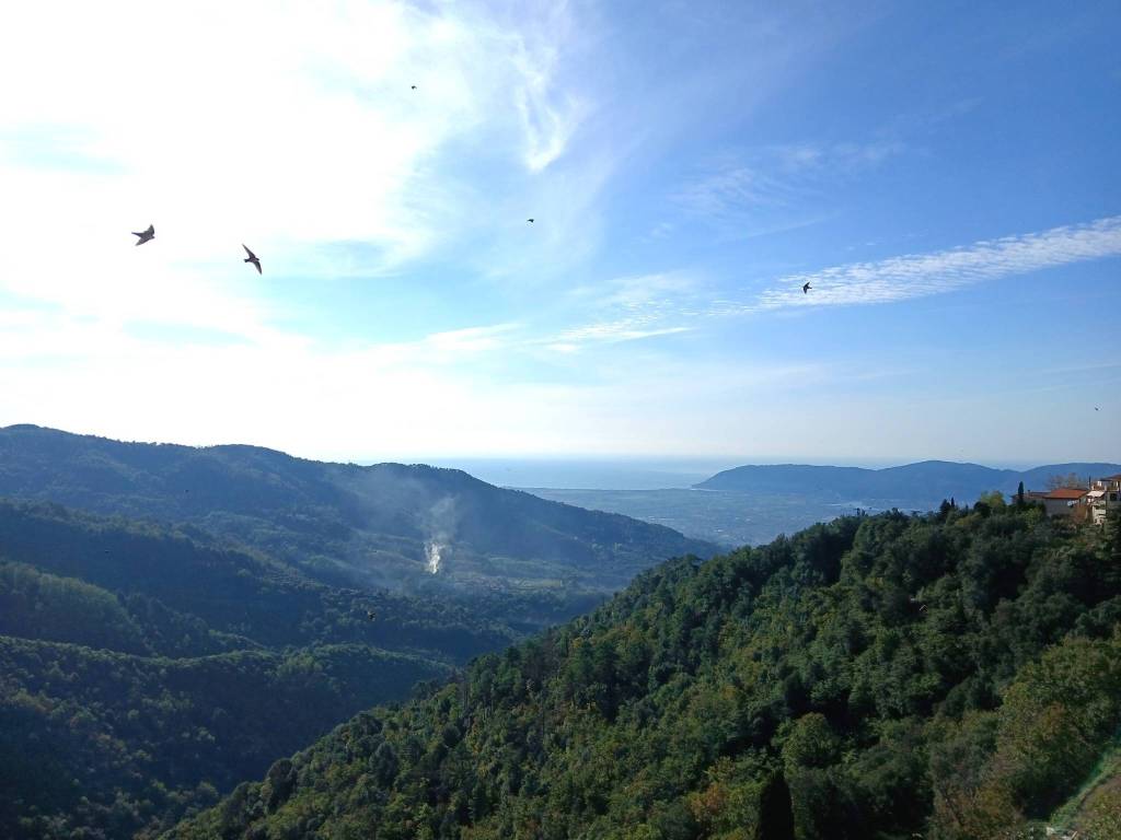 appartamento in vendita a Fosdinovo