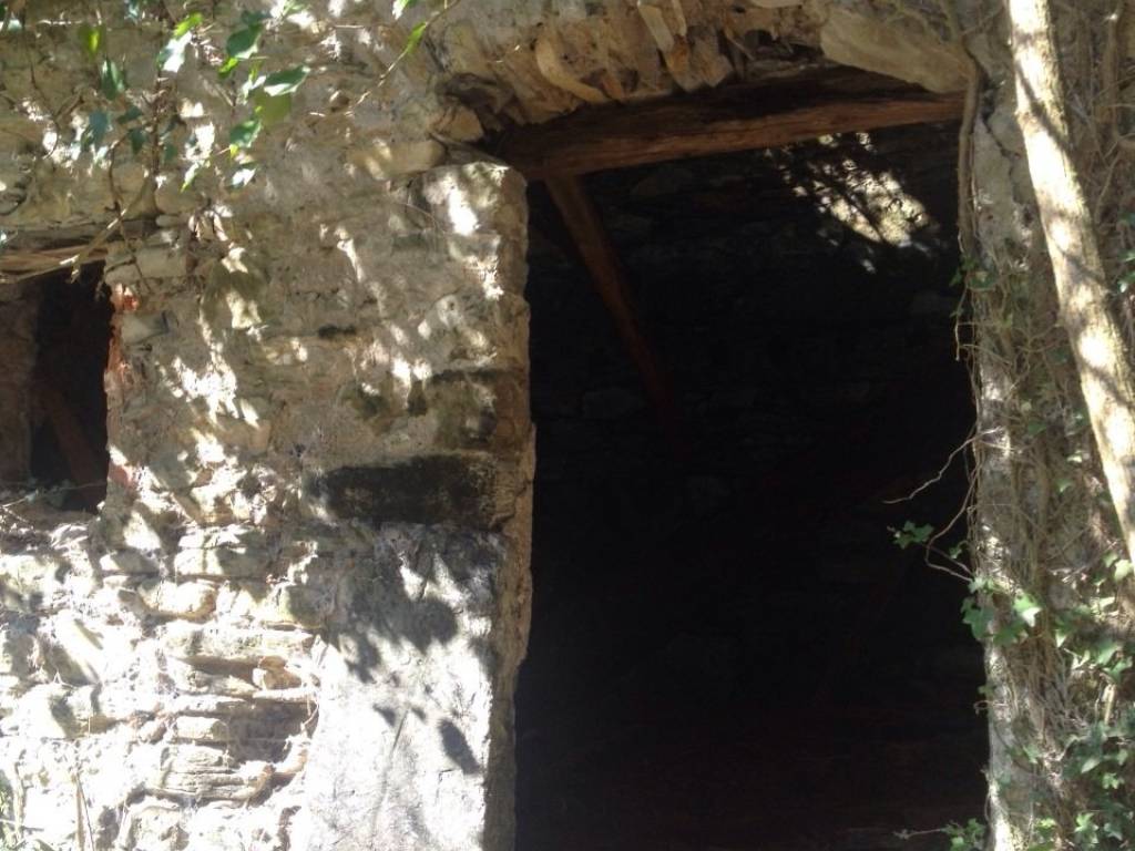 terreno agricolo in vendita a Fosdinovo in zona Caniparola