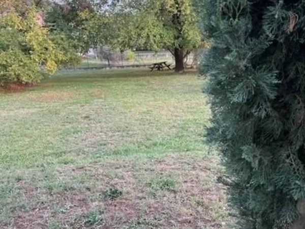 terreno agricolo in vendita a Fosdinovo