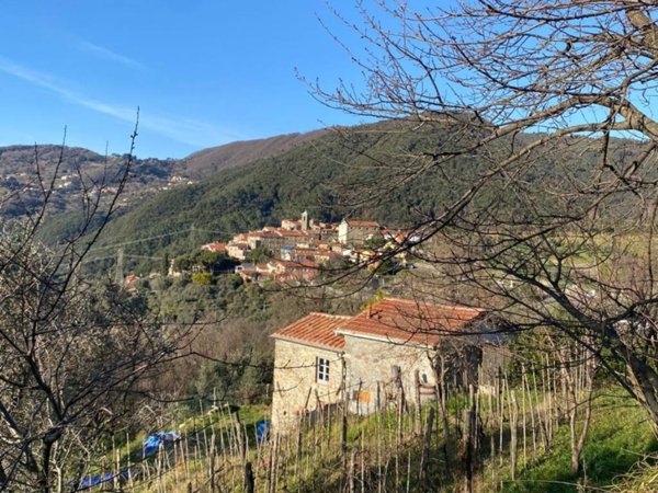 casa indipendente in vendita a Fosdinovo