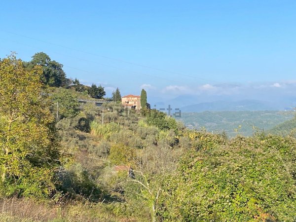 casa indipendente in vendita a Fosdinovo in zona Tendola