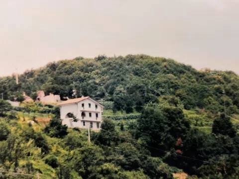 casa indipendente in vendita a Fosdinovo
