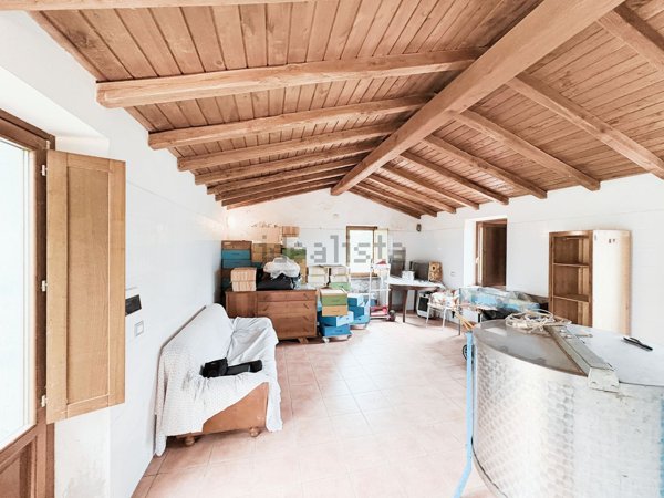 esavano in vendita a Fosdinovo in zona Canepari