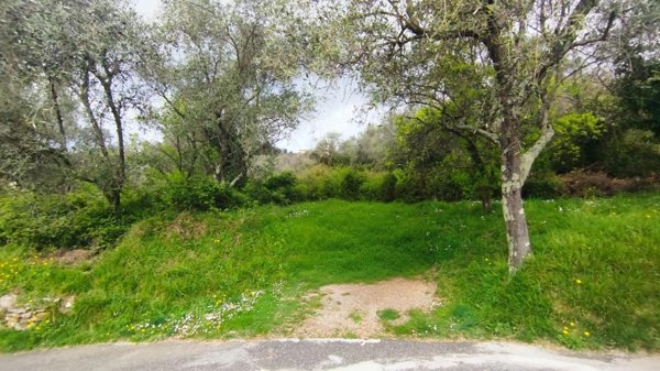 terreno agricolo in vendita a Fosdinovo