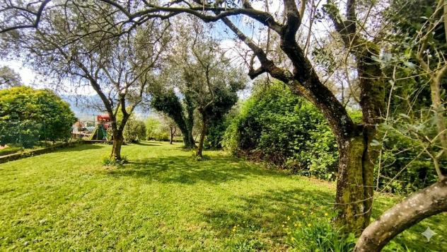 terreno agricolo in vendita a Fosdinovo