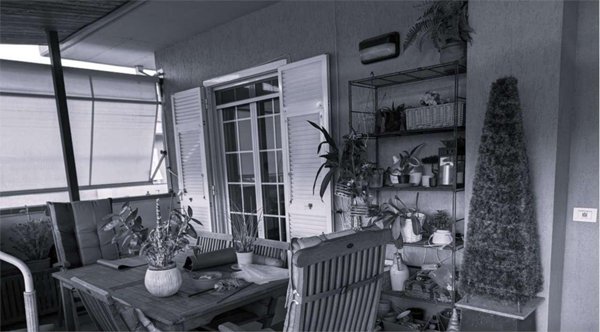 esavano in vendita a Fosdinovo in zona Caniparola