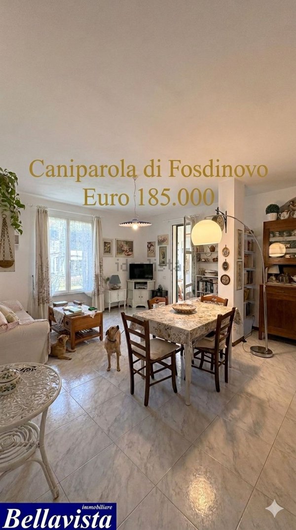 appartamento in vendita a Fosdinovo in zona Caniparola