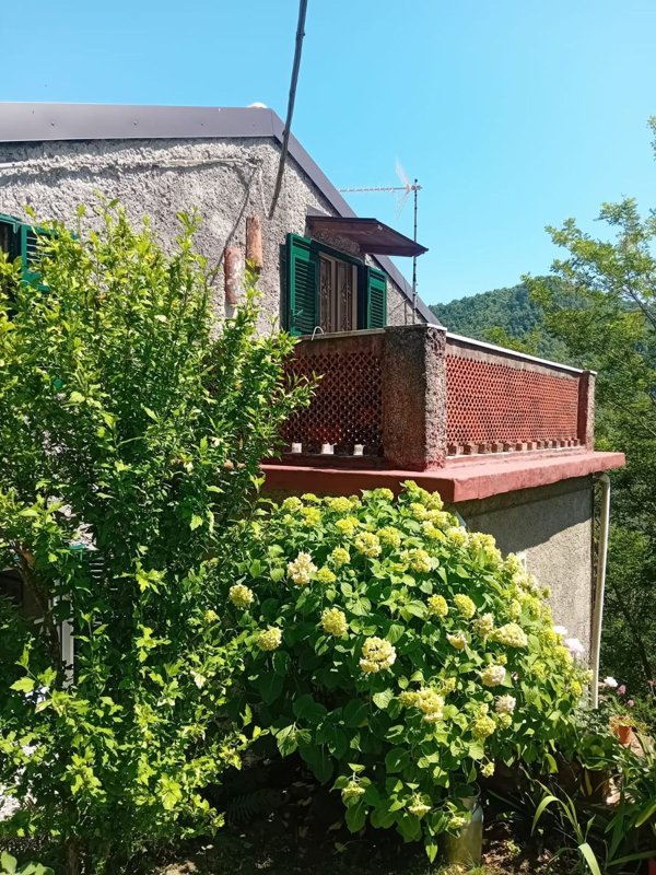 casa indipendente in vendita a Fosdinovo