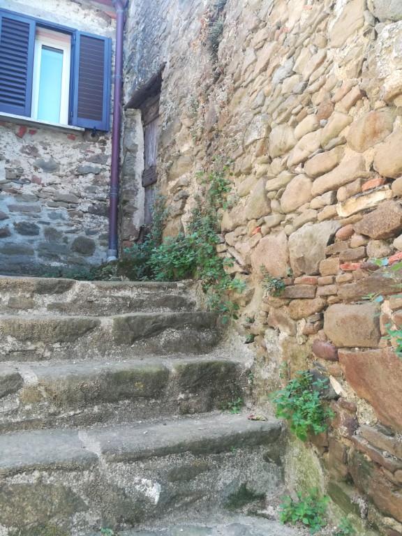 casa indipendente in vendita a Fosdinovo in zona Canepari